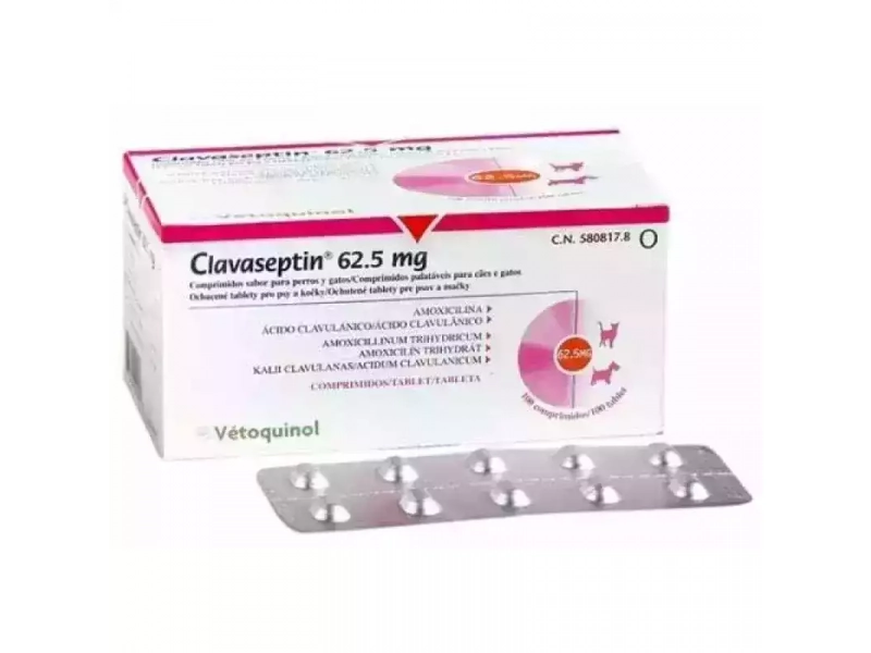 Когда стоит применять противоинфекционный препарат Vetoquinol Clavaseptin для собак