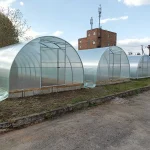 Теплиця для переселенців: як запустити агробізнес з нуля, якщо немає землі, досвіду та капіталу