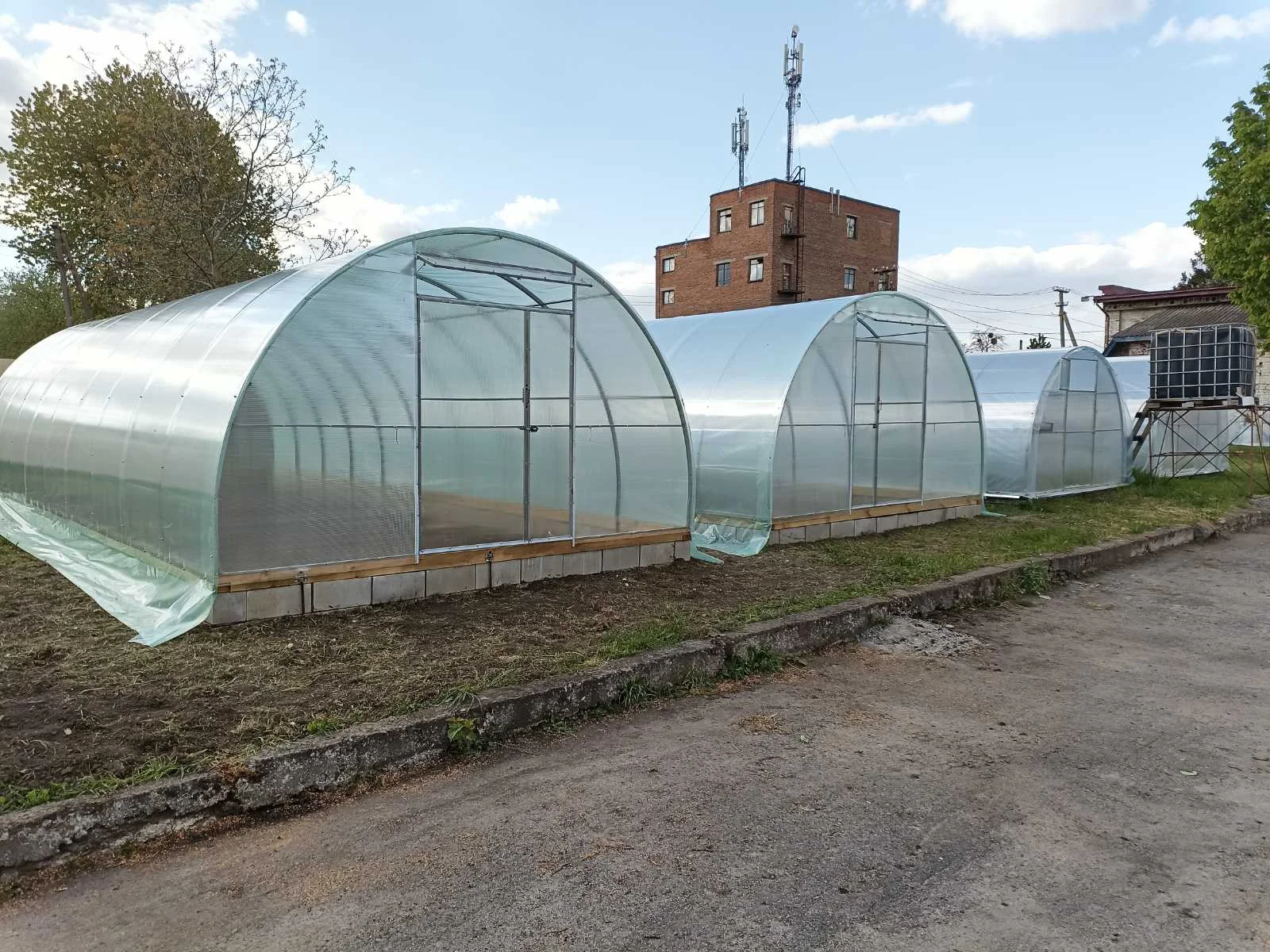 Теплиця для переселенців: як запустити агробізнес з нуля, якщо немає землі, досвіду та капіталу